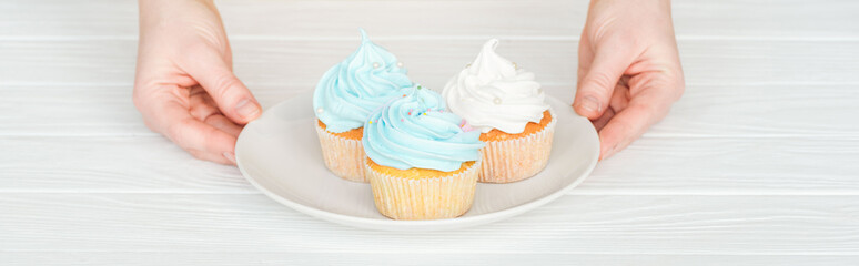 panoramic shot of woman holding plate with delicious cupcakes on white table