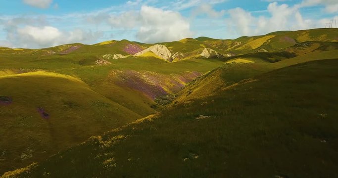 Temblor Range California Wildflowers Aerial