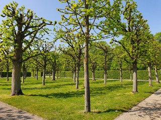 Herrenhäuser Gärten/Hannover (Germany)