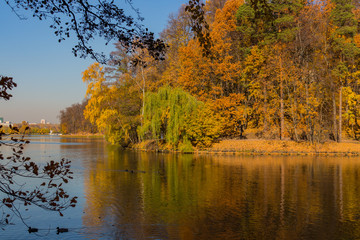 Scenic view to the autumn park and pond