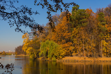 Scenic view to the autumn park and pond