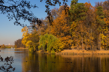 Scenic view to the autumn park and pond