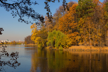 Scenic view to the autumn park and pond