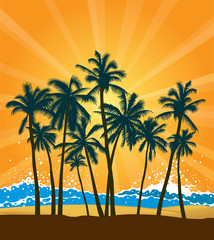 Fototapeta na wymiar Palm beach illustration