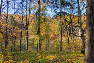 Fototapeta na wymiar Scenic view to the autumn park, golden autumn