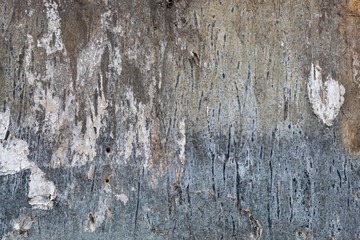 Old Weathered Damaged Wood Texture