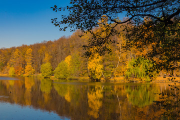 Obraz premium Scenic view to the autumn park and pond