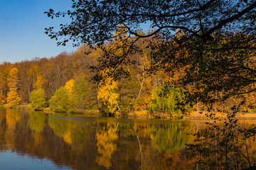 Fototapeta na wymiar Scenic view to the autumn park and pond
