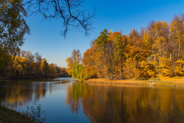 Fototapeta premium Scenic view to the autumn park and pond