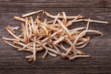 Nahaufnahme vom Hopfenspargel