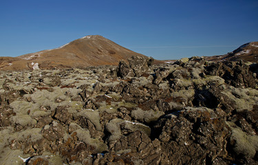 Huge old lava fields overgrown with Icelandic moss in an open-air emerald color