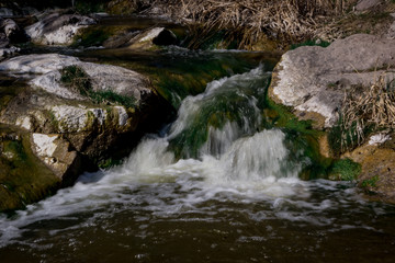 Obraz premium waterfall in the forest
