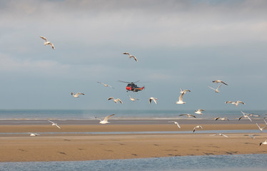 Helicopter amongst a flock of seagulls on an empty beach