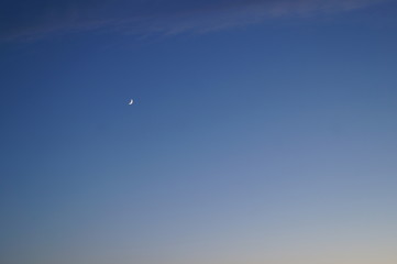 Crescent in the dark blue evening sky