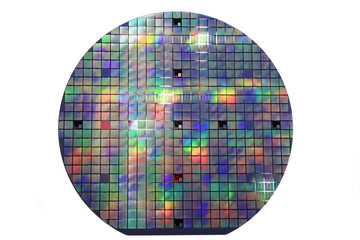 silicon disk with chips