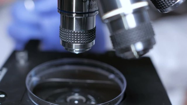 Scientist hands with microscope close-up shot in the laboratory. Medical laboratory research tools in the hands in gloves. Close up. Forensic examination. 4K UHD..