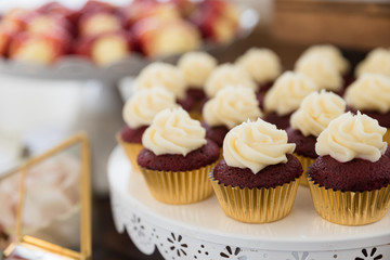 cupcakes with chocolate frosting and sprinkles