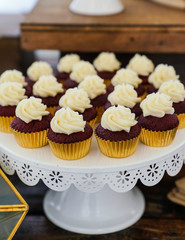 cupcakes with chocolate frosting