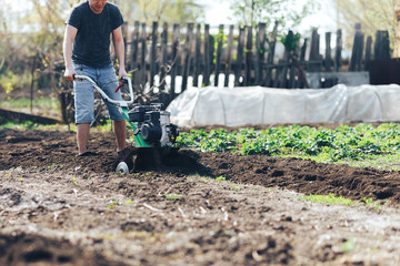 young farmer gardener cultivate ground soil rototiller , tiller tractor, cutivator, miiling...