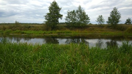 Fototapeta premium a small river along the field