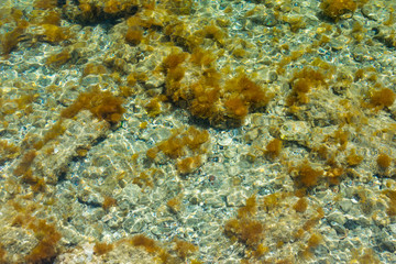 Surface of the sea with a reflection. Abstraction.