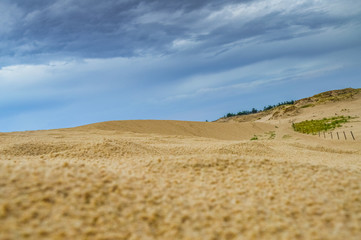 Dunes of Leba in the desert of Slowinski National Park, Poland