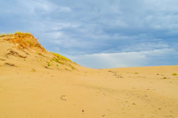 Dunes of Leba in the desert of Slowinski National Park, Poland
