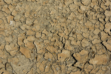 The cracked surface of the soil.
