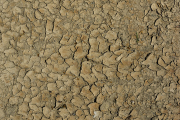 The cracked surface of the soil.