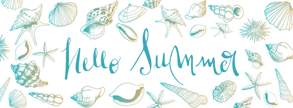 Vector seashell banner
