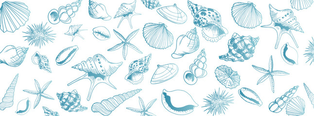 Vector seashell banner - obrazy, fototapety, plakaty