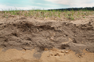 arable soil