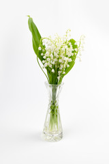 Lilly of the valley flowers and leaves bouquet isolated on white background