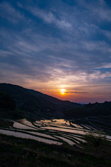 田植え直後の棚田に夕日が反射して美しい。