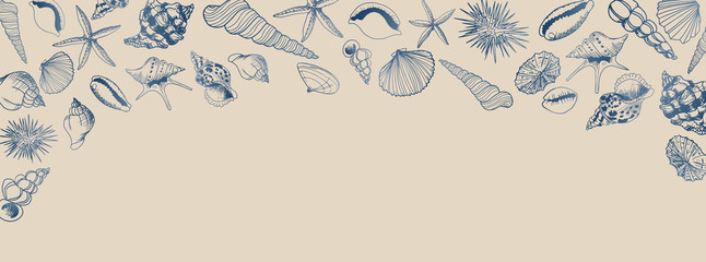Vector seashell banner