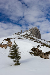 Fototapeta na wymiar mountain landscape with snow and iced lake