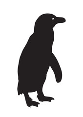 penguin silhouette