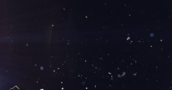 Big Amount Of Fluffy Dust Particles