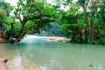 Cascadas de Agua Azul