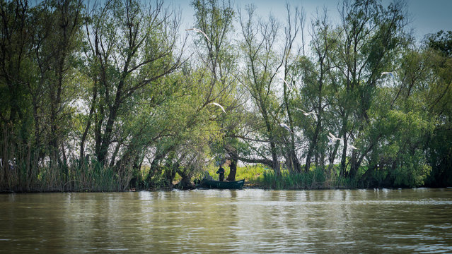 Fisherman in the Danube Delta Canal from ROmania