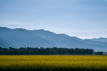 Mountain Landscape Near Missoula, Montana