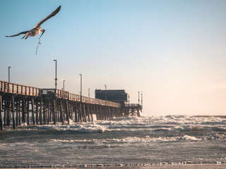 Newport beach pier in California 