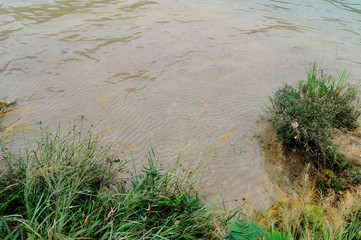 Cascadas de Agua Azul