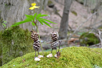  Forest figure sow flowers in nature in the spring
