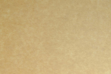 Fototapeta premium Kraft paper texture background
