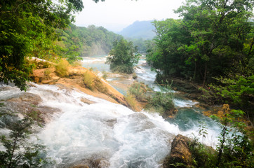 Cascadas de Agua Azul