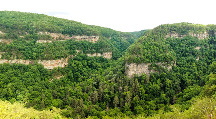 Cloudland Canyon State Park in Northern Georgia 