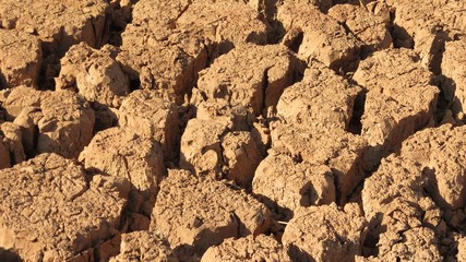 Terra seca