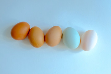 Chicken egg and duck egg line up on background, Compare shell tone of egg