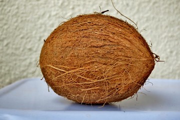 big brown coconut on a white background close-up